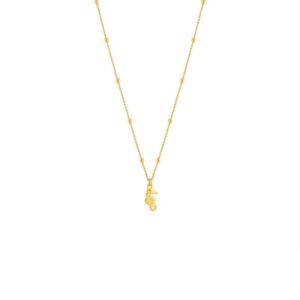 GOUDEN ZEEPAARD KETTING BALLETJES