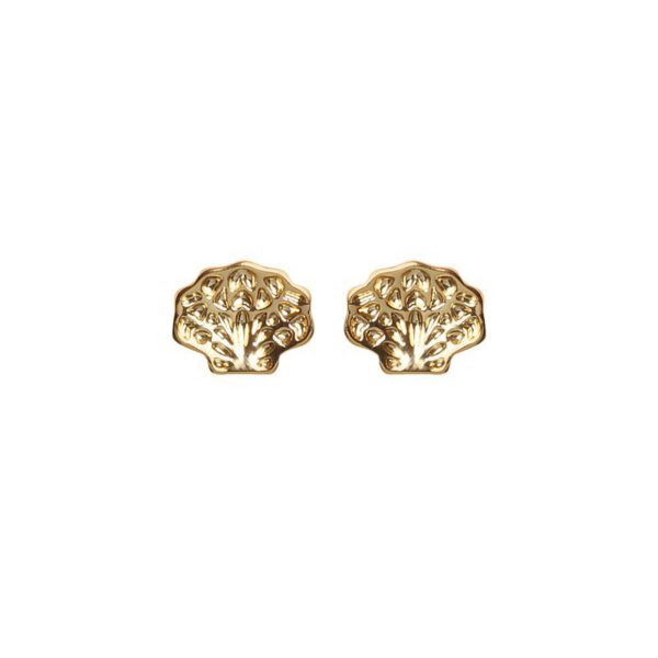 GOUDEN SCHELP KNOP OORBEL