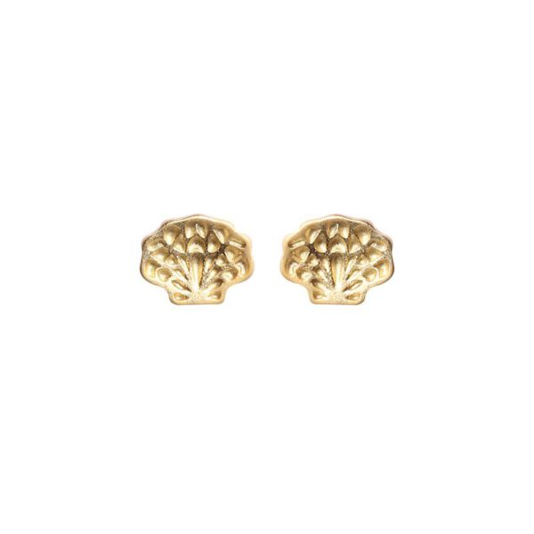 MAT GOUDEN SCHELP KNOP OORBEL
